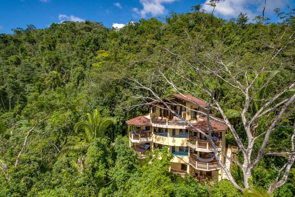 Sleeping Giant Rainforest Lodge Белмопан Екстериор снимка